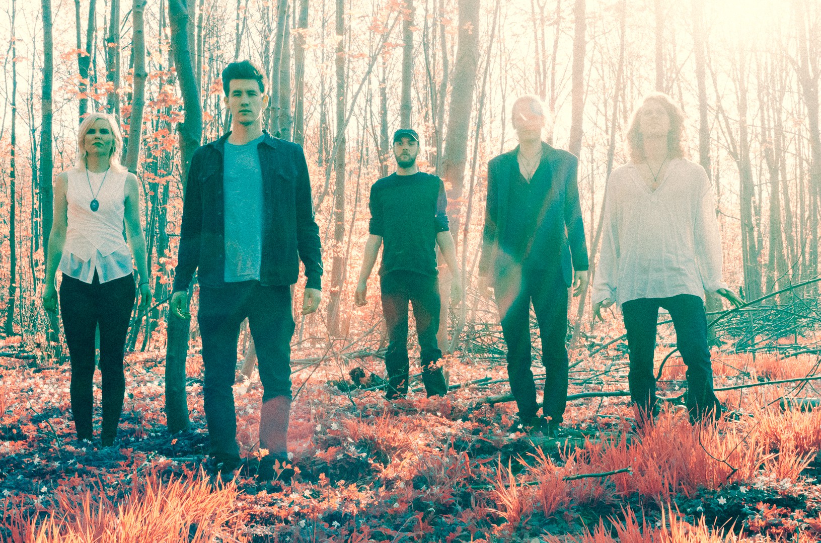 Listen: Wild Forest – Sparks