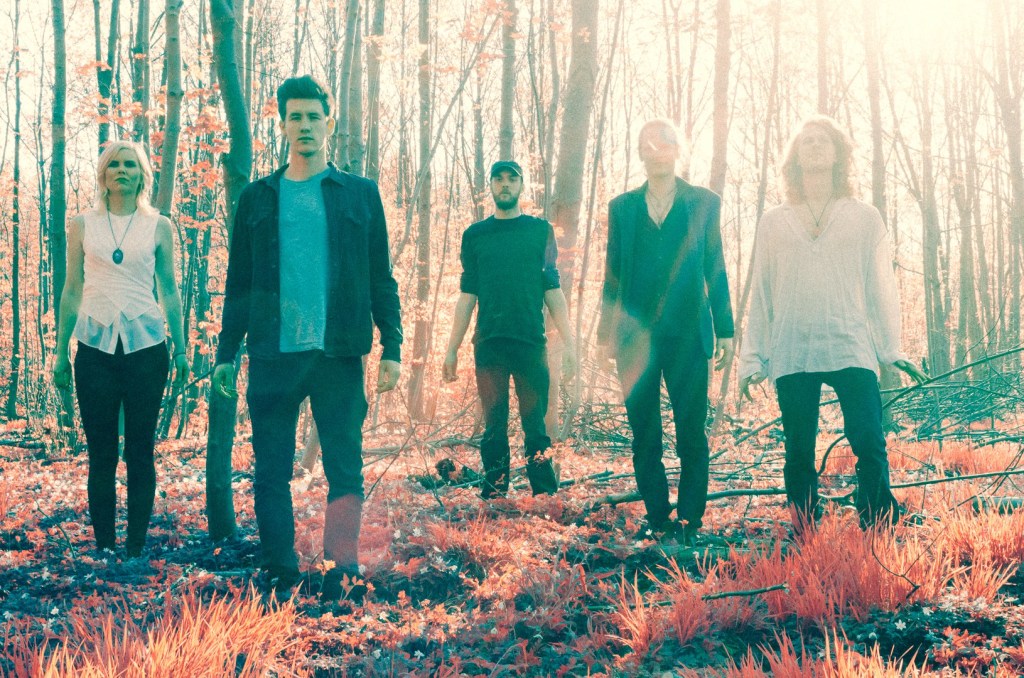 Listen: Wild Forest –&nbsp;Sparks