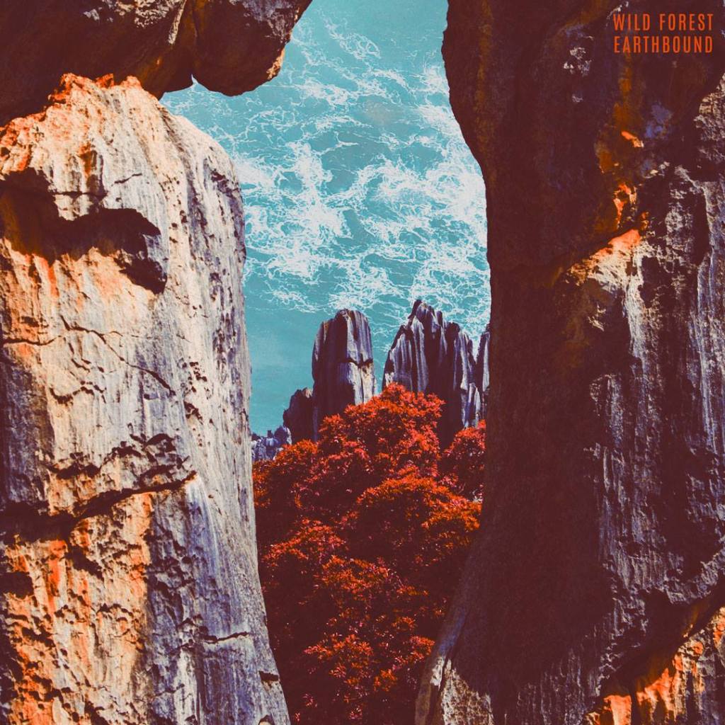 Review: Wild Forest –&nbsp;Earthbound