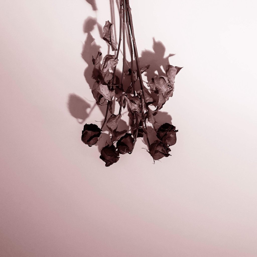 Review: Æves –&nbsp;Desire