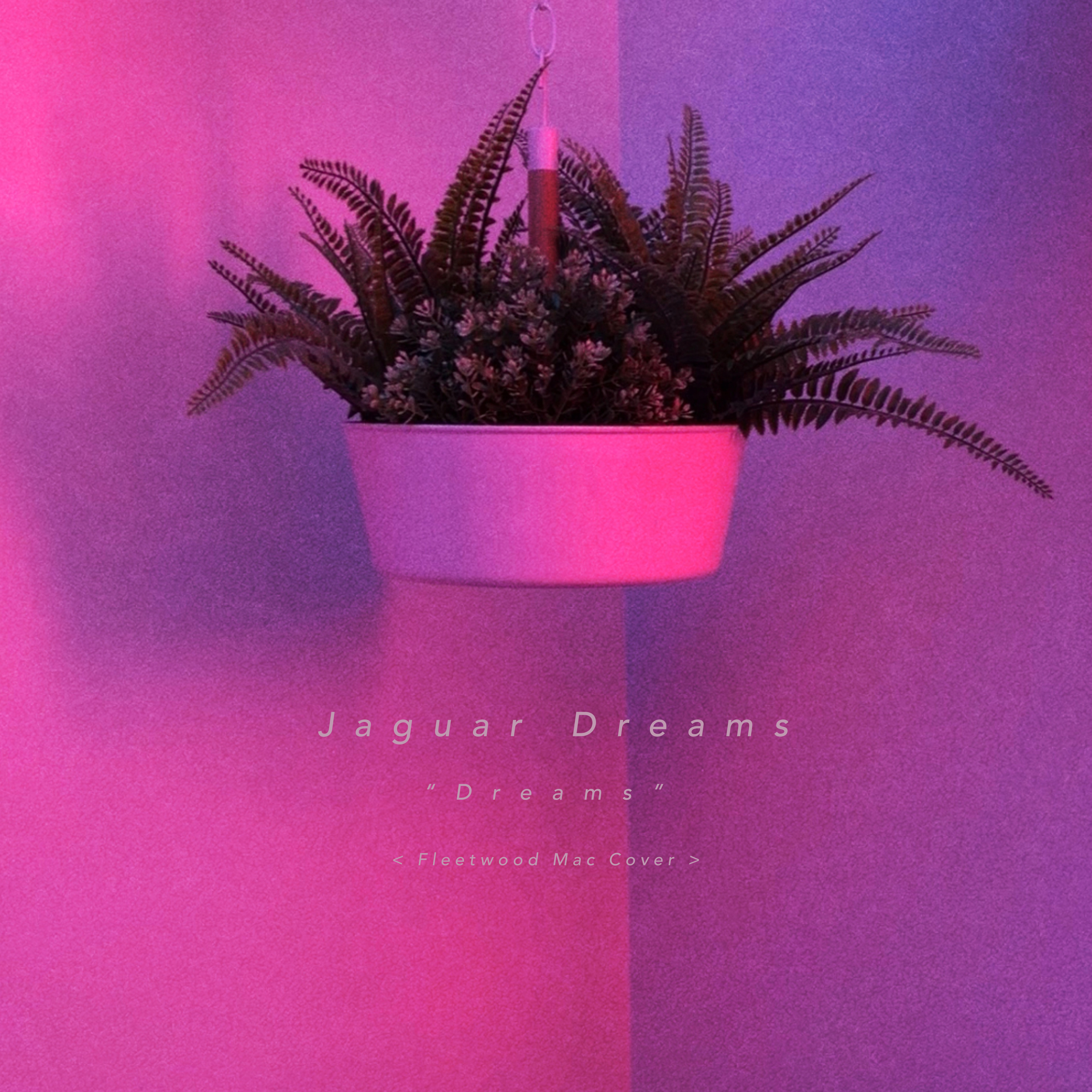 Listen: Jaguar Dreams – Dreams (Fleetwood Mac Cover)
