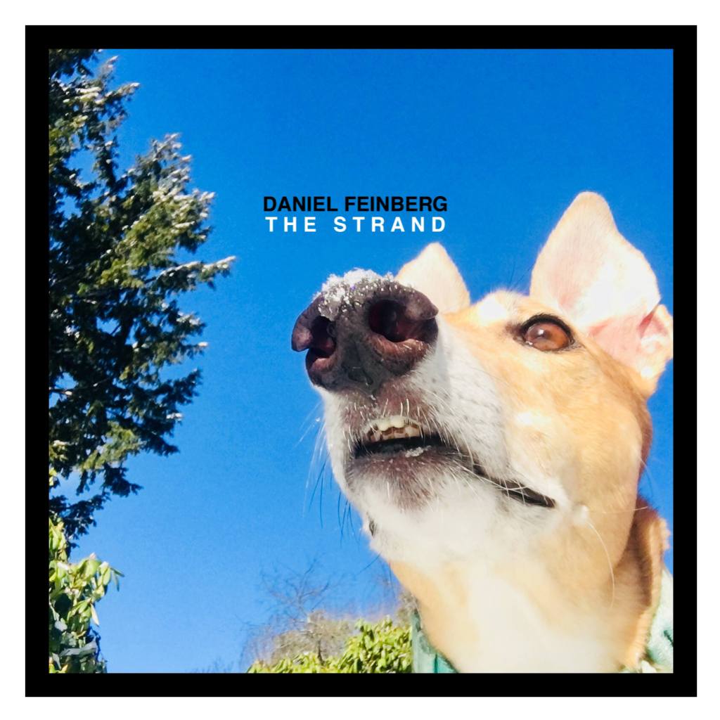 Listen: Daniel Feinberg – The&nbsp;Strand