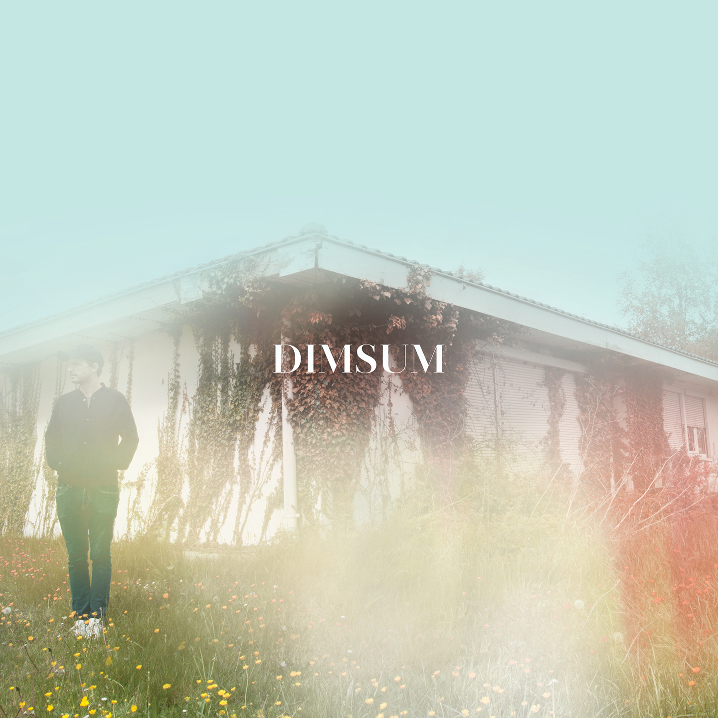 Listen Dim Sum – Ange