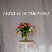 IFeltItInTheWind_Artwork
