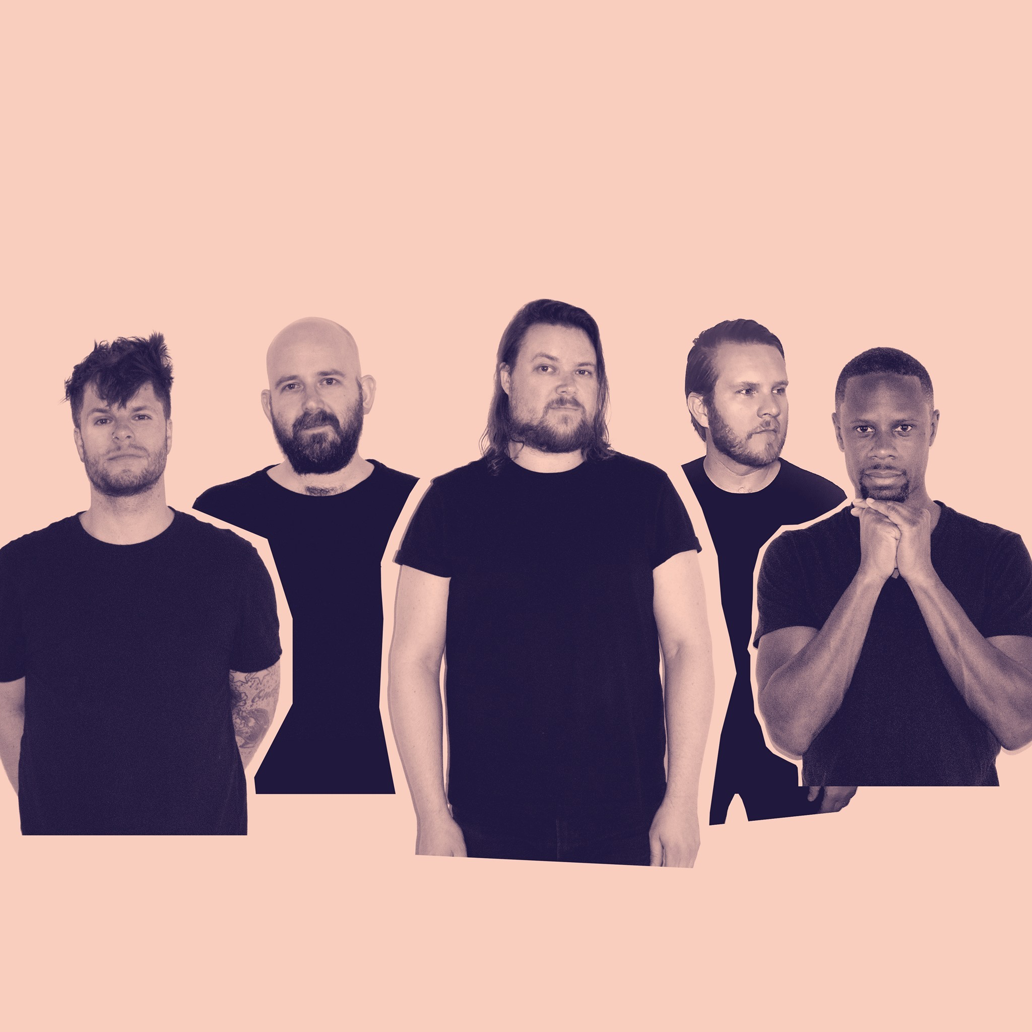 Listen: Wildlife – Wasted