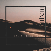 IWontDieForYou-Artwork