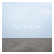 NoReason-Artwork