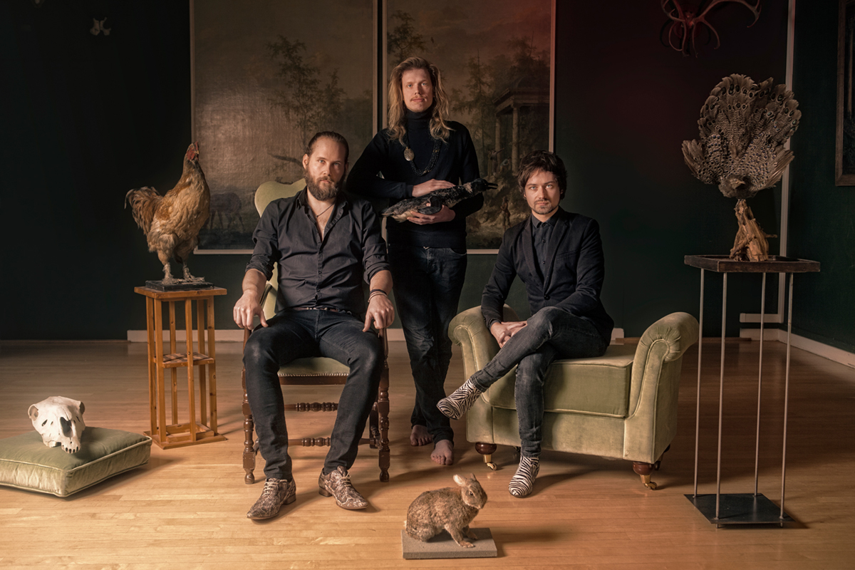 Listen: Certain Animals – What Is Love