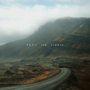 TestTheTimber-Artwork