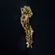 MountainWoman-Artwork