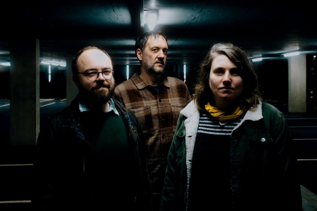 Mammoth Penguins –&nbsp;Species